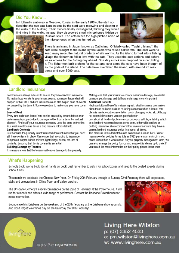 newsletter page 2